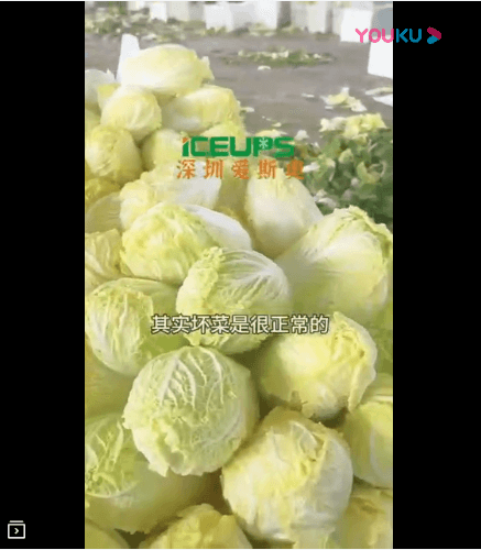 娃娃菜需要快速降溫，帶走熱量和水份后不會(huì)壞菜