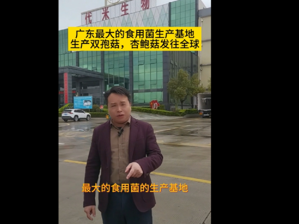廣東最大的食用菌生產(chǎn)基地，代米生物真空預(yù)冷機(jī)使用現(xiàn)場